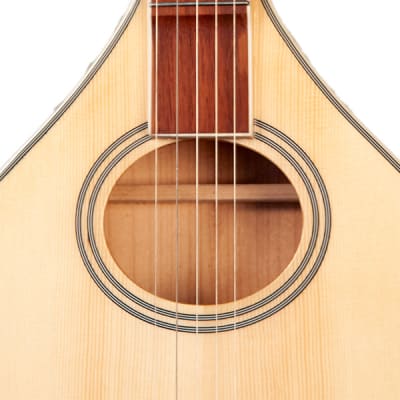 Gold Tone Banjola+ Solid Spruce Top Woodbody Banjo with Pickup & Hard Case image 3