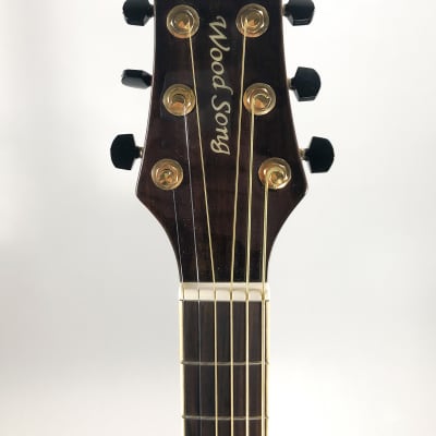 Wood Song DCE-NA-L Left Handed Acoustic/Electric Guitar with Gig Bag image 6