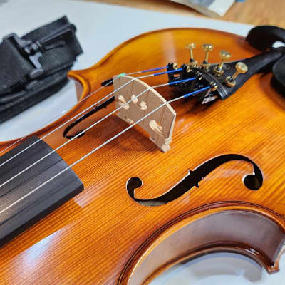 Cecilio 4/4 Advanced Level Violin Featuring Aged 7+ Years - Solid Spruce Top Highly Flamed One-Piece Maple Back and Sides All-Ebony Components, Independent Fine-Tuners, Brazilwood Bows, Hand-Rubbed Oil Finish... image 13