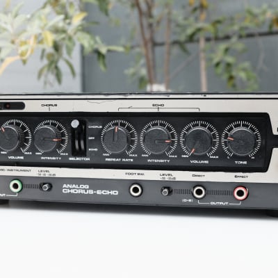 Roland DC-30 Chorus Echo (Boss DM-300)