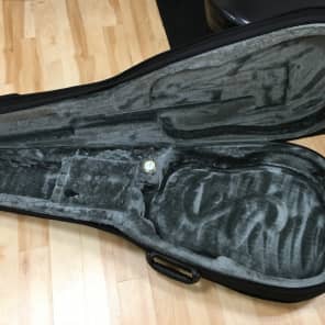 WolfPak Acoustic Guitar Polyfoam Dreadnought Case Reverb