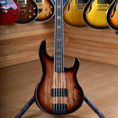Music Man Sting Ray 35th Anniversary H Roasted Ebony Fingerboard Spalted Sunburst 5 Corde for sale