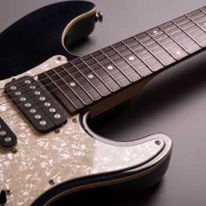 Progauge By Schecter PS600 ex (7 strings) | Reverb