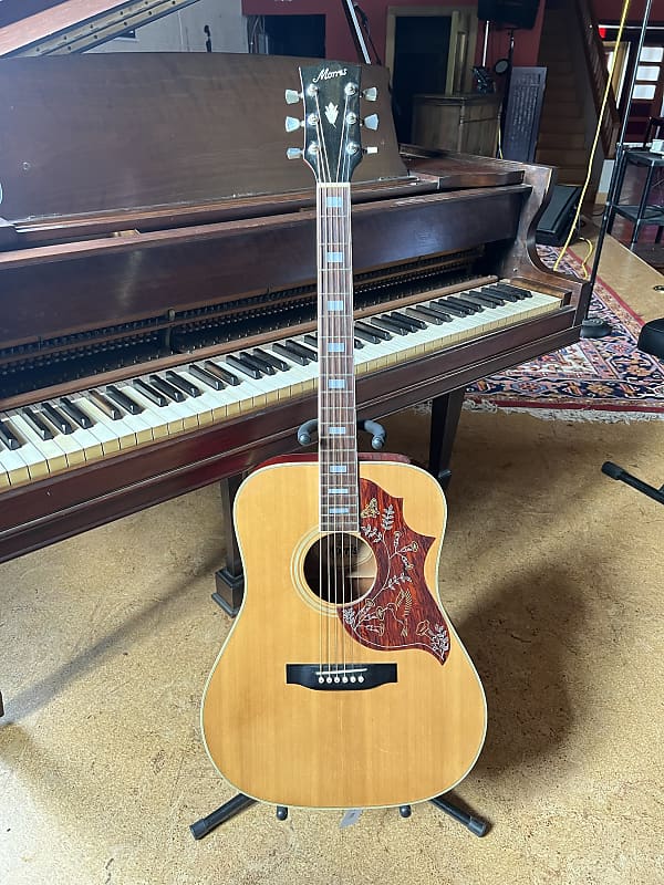 モーリス ギター Morris WH-30 Morris WH-30