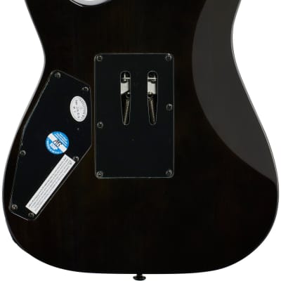 ESP LTD H-1001FR Electric Guitar, Black Natural Fade image 6