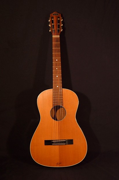 Hofner on sale parlor guitar