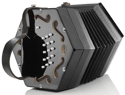 Rochelle Anglo Concertina Accordion Reeds Squeeze Box Lifetime Warranty image 1