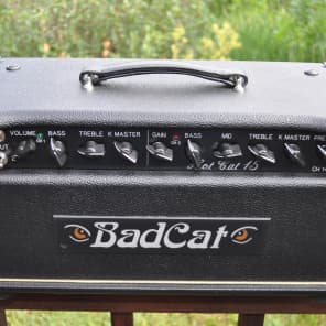 Bad Cat Hot Cat 15 15-Watt Guitar Amp Head