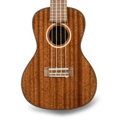 Lanikai MAS-C All Solid Concert Ukulele with Case, Tuner, Strings, Stand, More image 6