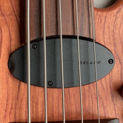 Letts WyRD mini bass with Delano theExtender 2022 image 7
