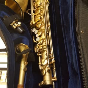 Alto Saxophone Dave Guardala  New York "Earth Tone" Gold Matte Finish image 5