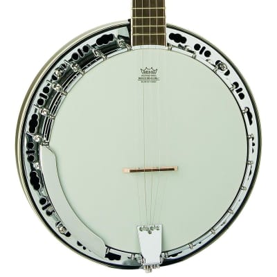 Washburn Americana B11 5-String Resonator Banjo for sale