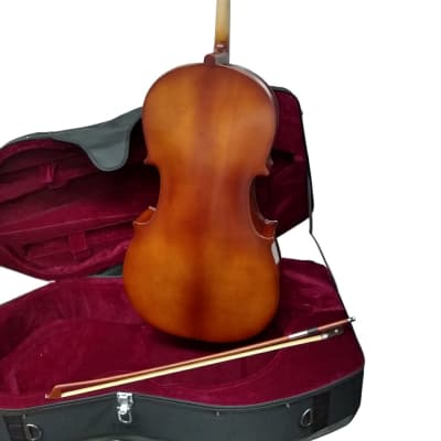 Vienna Strings Frankfurt Cello 1/2 Cello image 4