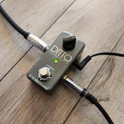 TC Electronic Ditto Looper | Reverb