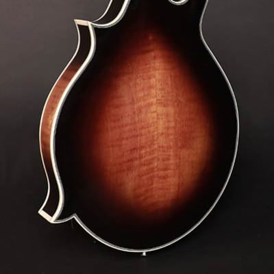 Richwood All Solid Master Series RMF-100-VS F-style mandolin with solid maple bo image 2