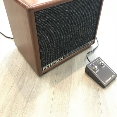 Peterson P100G Guitar Special Amplifier | Reverb
