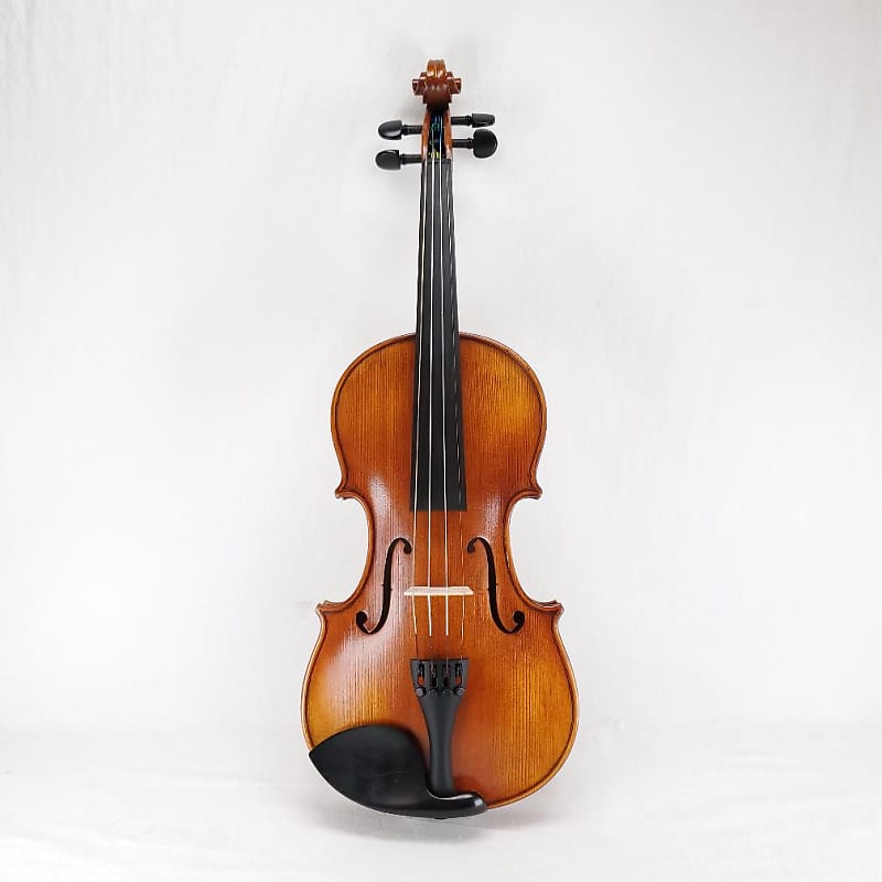Nicolo Santi 4/4 Beginner Violin - NSN60S | Reverb