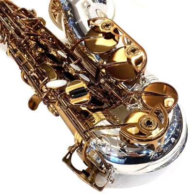 FORESTONE Alto Saxophone Forestone GX COLORS image 6