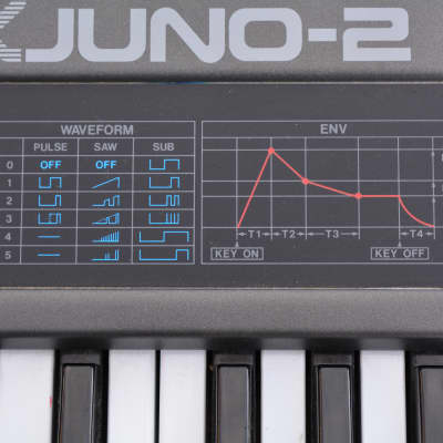 Roland Alpha Juno-2 61-Key Programmable Polyphonic Synthesizer 