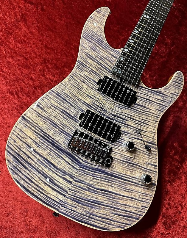 T’s guiters DST-24 order T's Guitars DST-Pro 24 Custom Whale Blue Burst 2018 中古