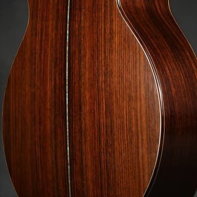 Ryan Cathedral Grand Fingerstyle - Sitka Spruce & Indian Rosewood 2003 *VIDEO* image 14