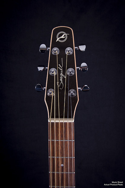 Seagull C6 Coastline Folk Acoustic Guitar