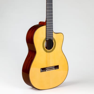 Pavan  TP-30 Acoustic Cutaway Spanish Classical Guitar- All Solid Woods, Handcrafted in Spain image 2