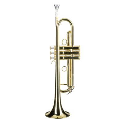 2020's Mandala DRACO 5 ESTRELLAS GP B ♭ Trumpet | Reverb