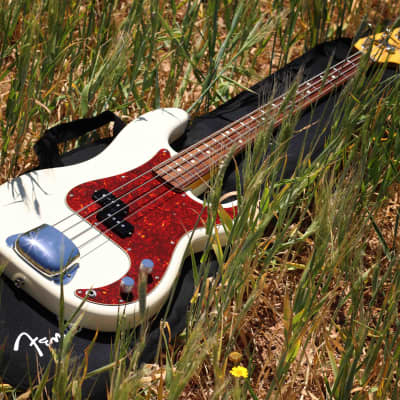 Fender Precision Bass | Hama Okamoto Signature #4 | MIJ | Japan image 13