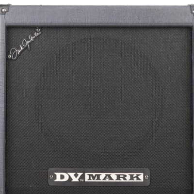 DV Mark C 212 FG 2x12 Guitar Speaker Cabinet w/ Case Frank Gambale #39368 image 8