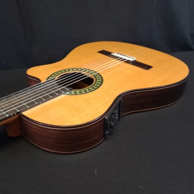 Alhambra 5P CT E2 Thinline Acoustic Electric Classical Nylon String Guitar w/Bag image 14