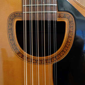 Giannini AWKS-12 12 String Acoustic guitar w/ OHSC image 4