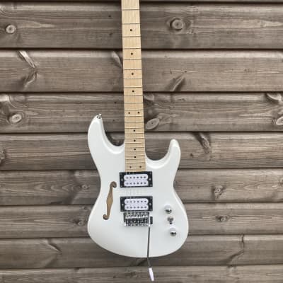 SX Electric Guitar Thinline Double Cutaway - White image 1