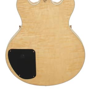 Gibson ES 335 Custom Artist Made For Steve Howe 1982 image 3
