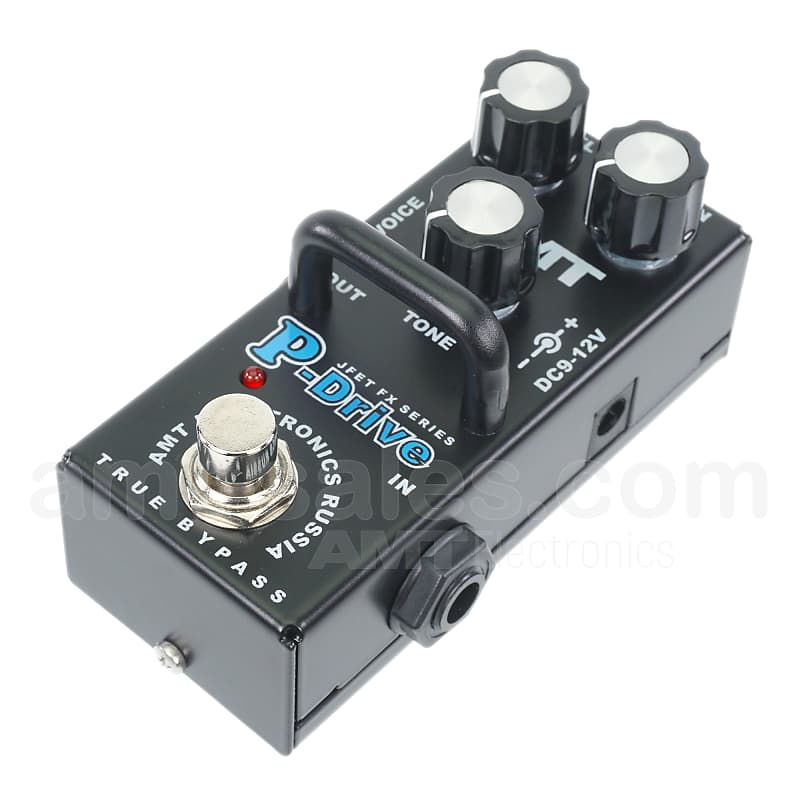 オンライン販売済み AMT electronics P2 5150モデル - 楽器/器材
