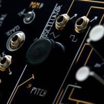 Make Noise 0-Coast Patchable Synthesizer image 4