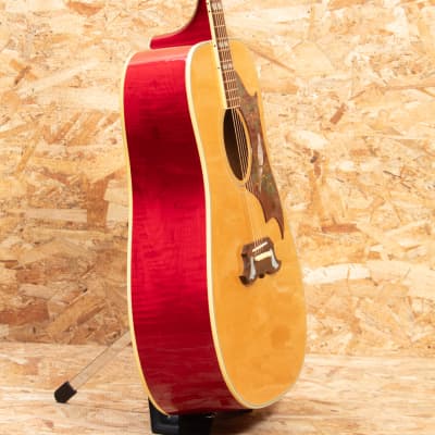 Gibson Dove AN 2010 image 4
