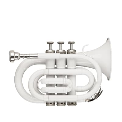 Stagg Bb Pocket Trumpet with Brass Body - White - WS-TR249S image 5