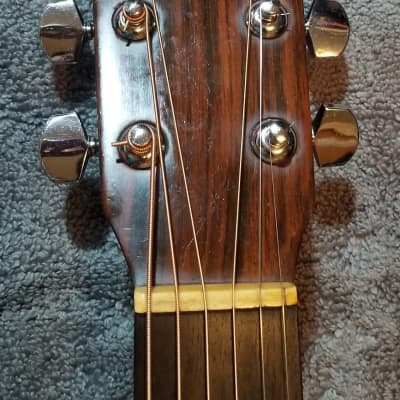 Elite/Takamine TW25 (special style) | Reverb
