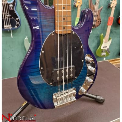 Immagine STERLING BY MUSIC MAN StingRay Ray34FM Neptune Blue - 2
