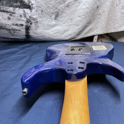 Godin Freeway Classic Guitar 2005 - Translucent Blue image 24