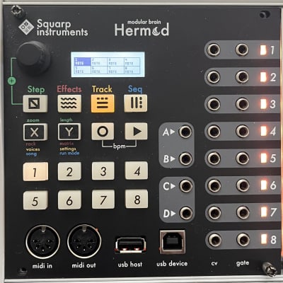 Squarp Instruments Hermod Modular Brain | Reverb