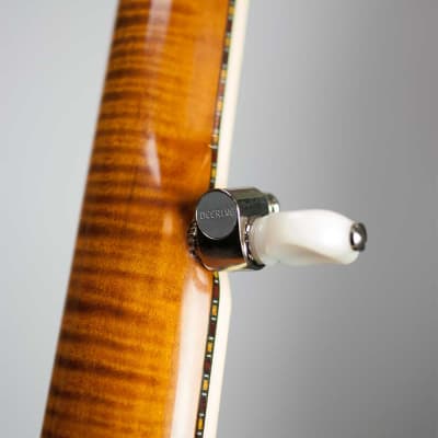 Deering Calico 5 String Banjo image 10