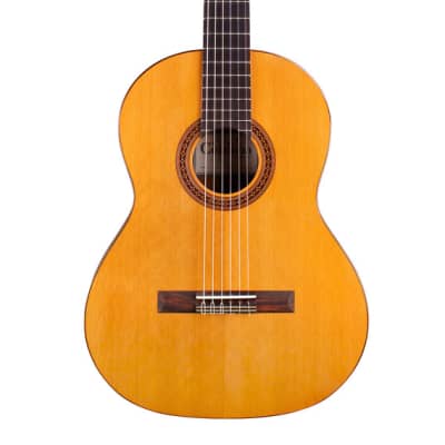 Cordoba Iberia Dolce 7/8 Size Nylon Guitar image 1