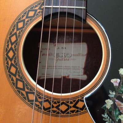 1960s EKO J-54 Dreadnought Acoustic Guitar Zeppelin Jimmy