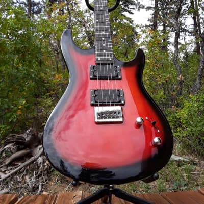 Durango Guitar Works 4130 Short Scale  Modded image 4