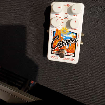 Electro-Harmonix Canyon Delay & Looper Pedal