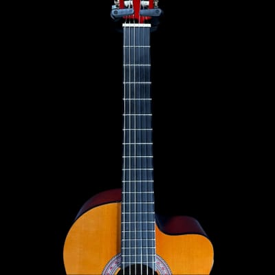 Used Indiana IC-25-CE Classical Guitar w/Bag TFW1015 image 3