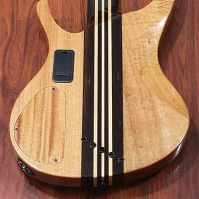 Halo OCTAVIA 5-string Multi-Scale (Fanned Fret) Bass Guitar, Nordstrand Pickups image 4