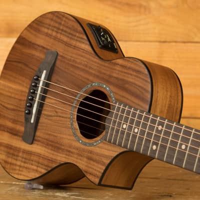 Ibanez EWP Acoustic Guitars | EWP12EWB - Piccolo Guitar - Open